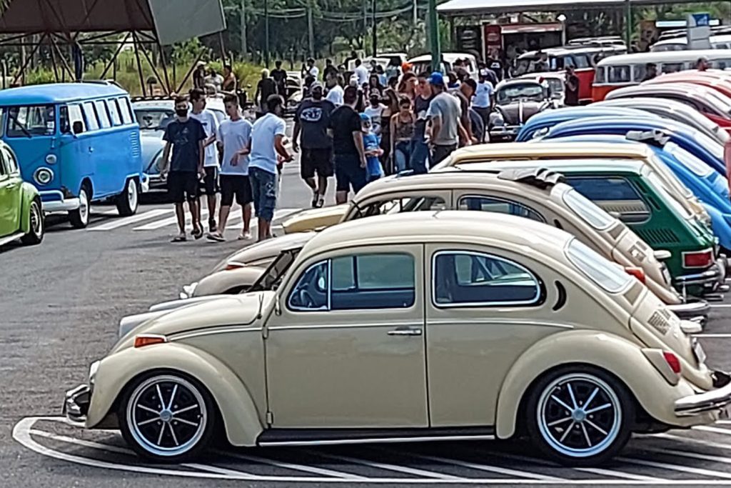 CARROS_ANT_02